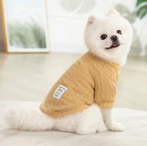 Chic Teddy Dog Sweater