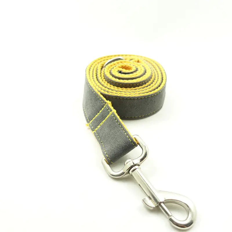Chic Gray & Yellow Dog Leash