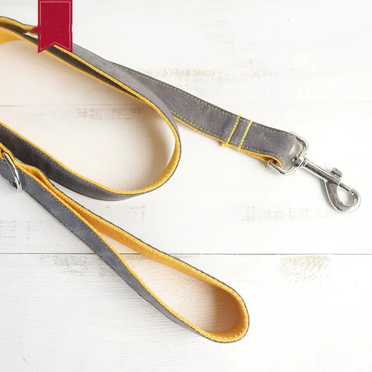 Chic Gray & Yellow Dog Leash