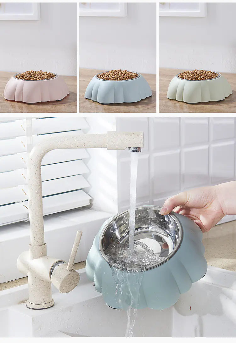 Deluxe Dual-Layer Pet Feeder