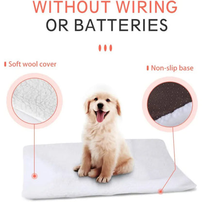 WarmthMaster Pet Cushion