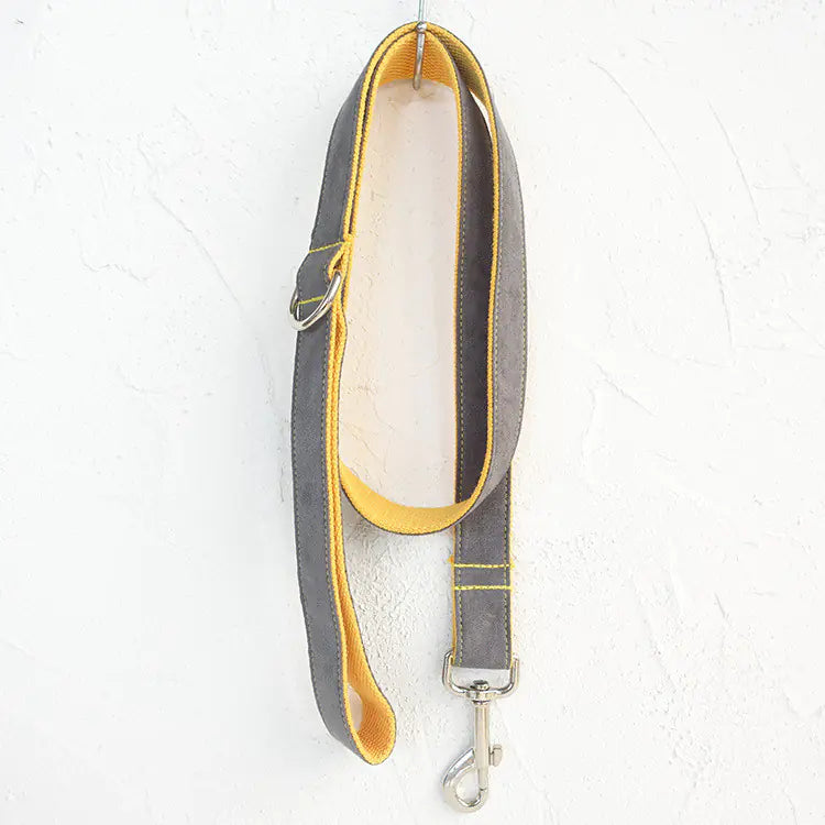 Chic Gray & Yellow Dog Leash