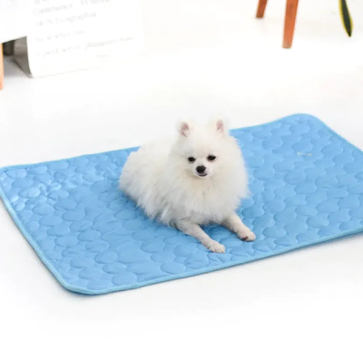 ChillPup Ice Silk Mat