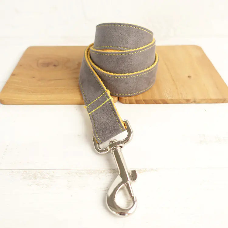 Chic Gray & Yellow Dog Leash