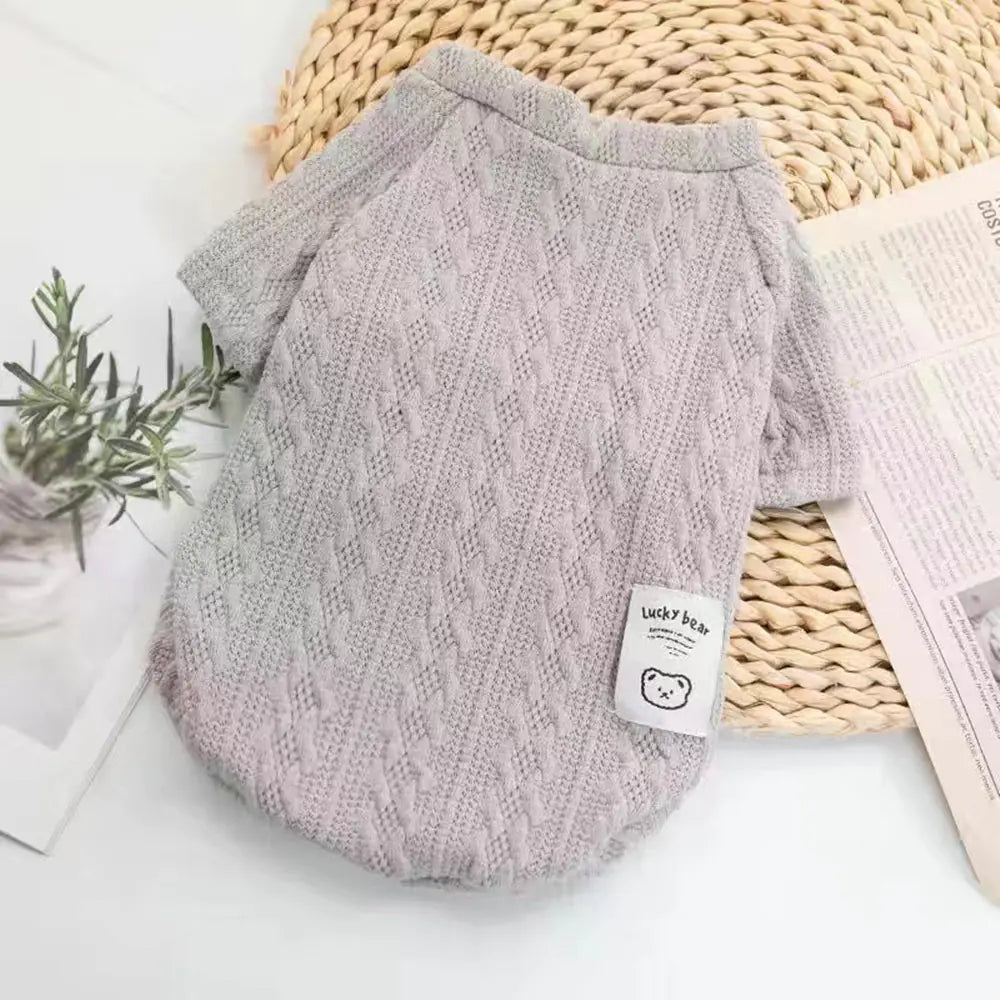 Chic Teddy Dog Sweater